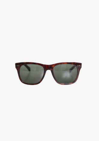 Wayfarer Sunglasses Tort