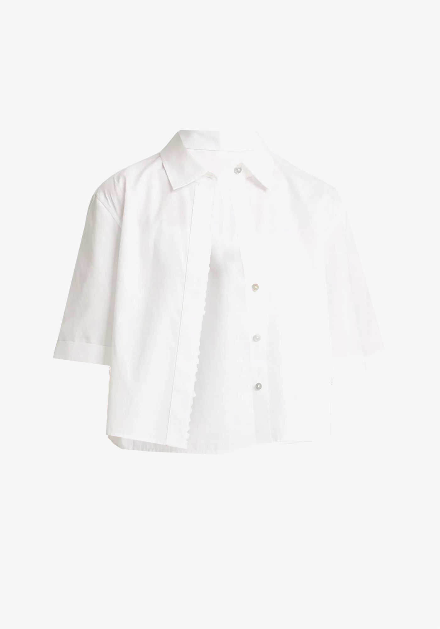 Product Title