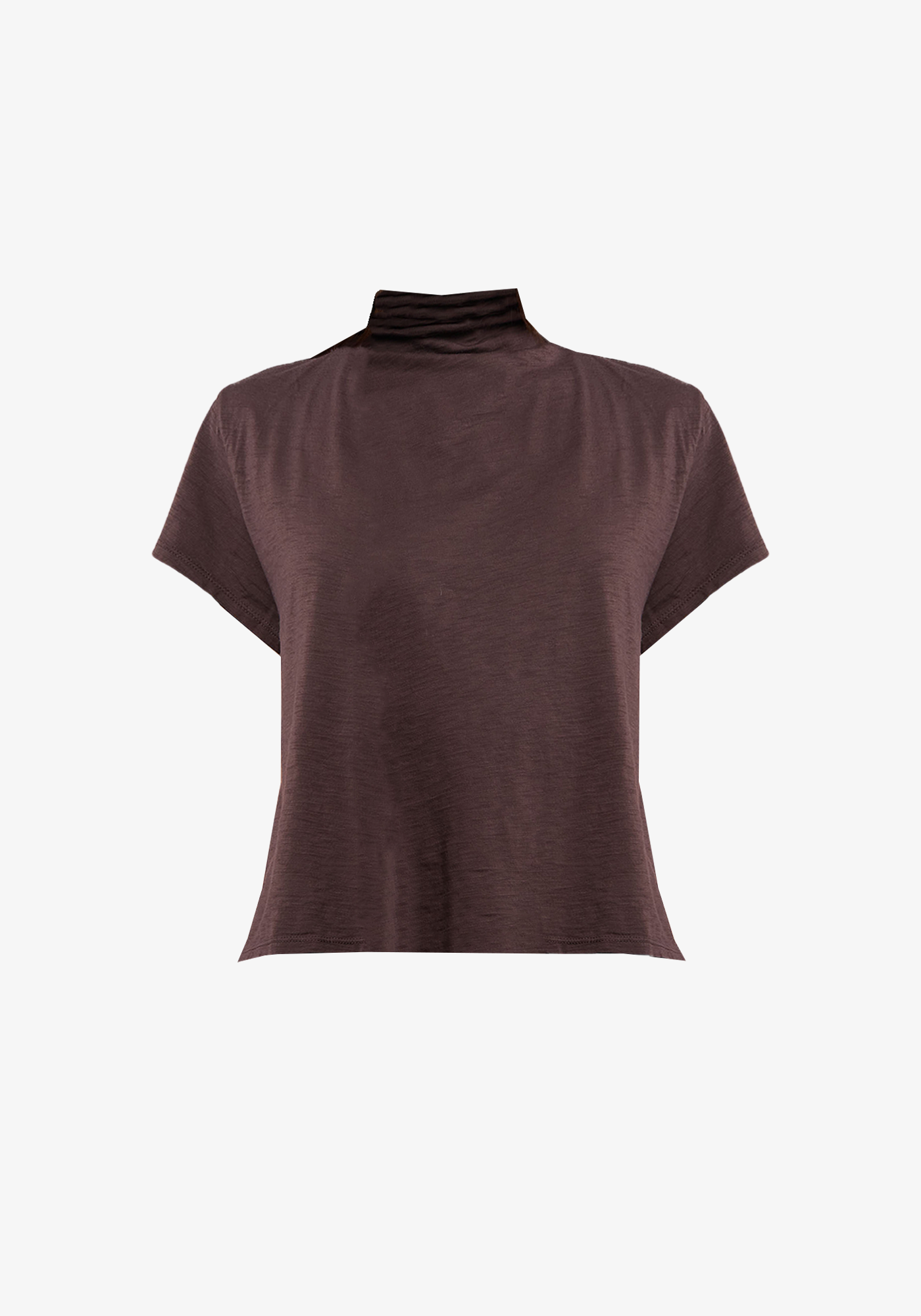 Product Title